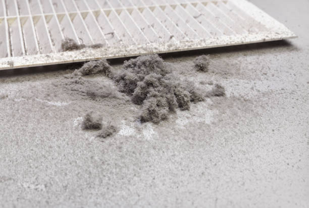 Best Local Air Duct Cleaning Services  in Ogden Dunes, IN