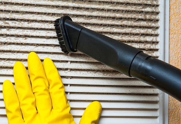 Best HVAC Duct Inspection Services  in Ogden Dunes, IN